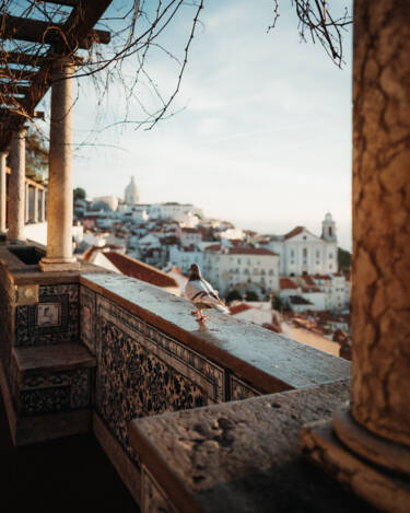 Eugenia Hanganu's assets for Nikon magazine