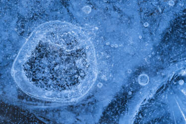 Ross Hoddinott | Nikon magazine