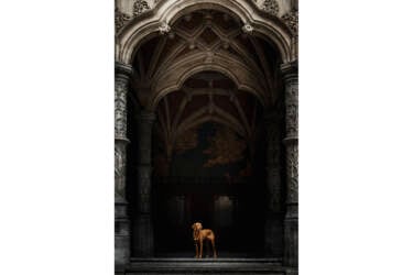 Photos for Nikon magazine